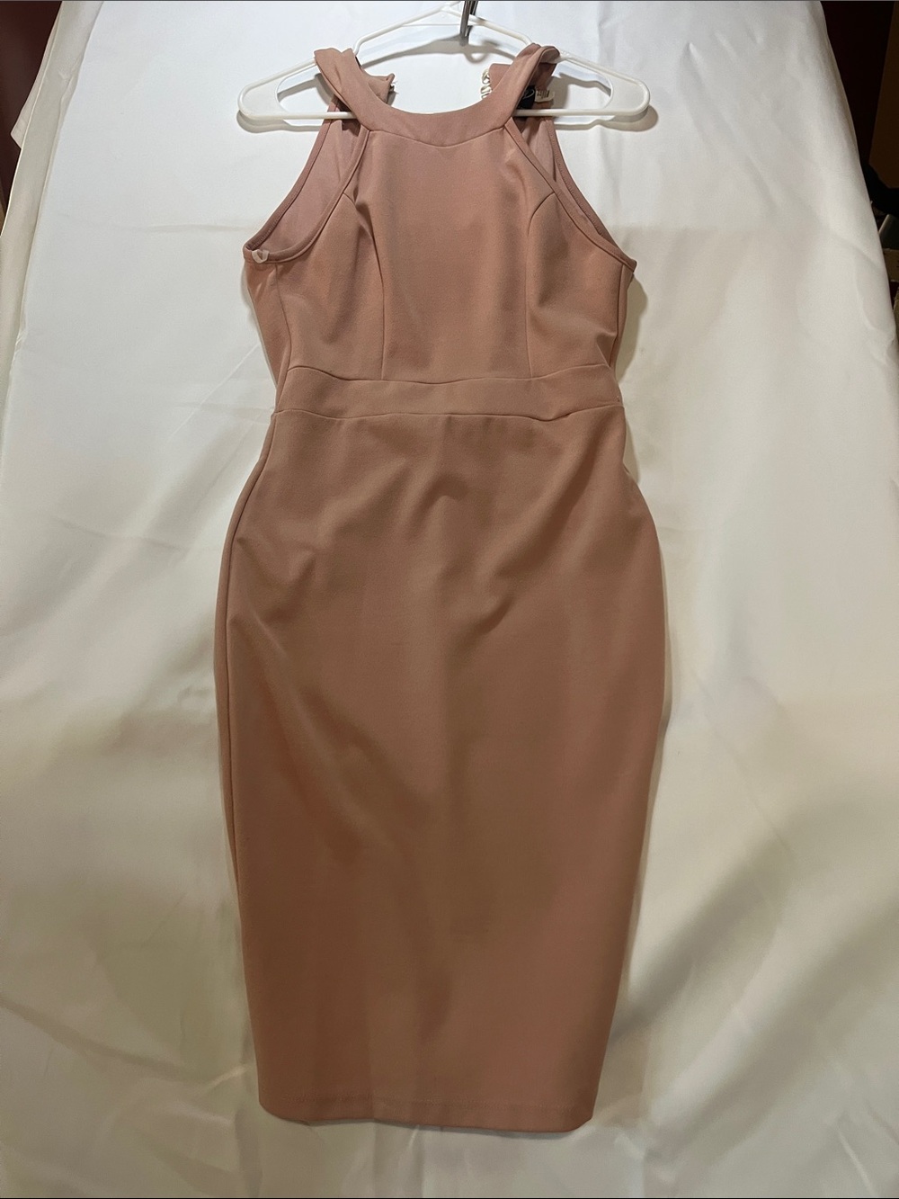 Windsor Rose Dust Sleeveless Midi Sheath Dress